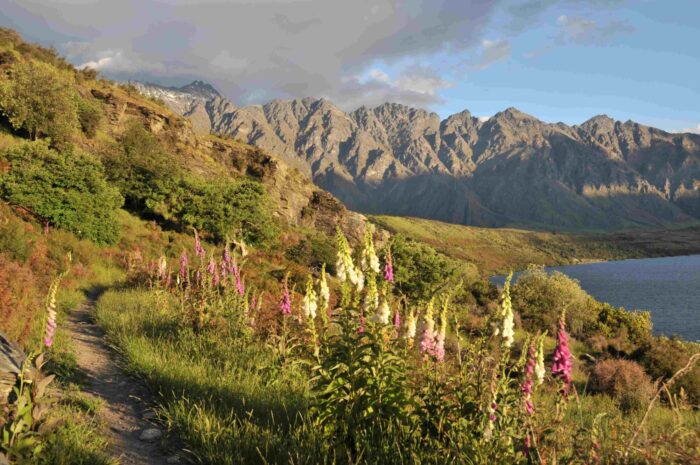 okolí Queenstownu, Jižní ostrov, Nový Zéland - CK Inspira