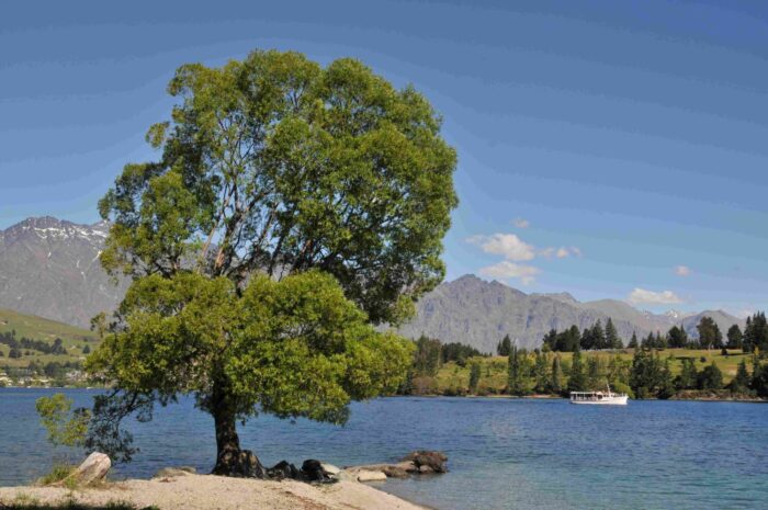 Jižní ostrov, Nový Zéland - CK Inspira