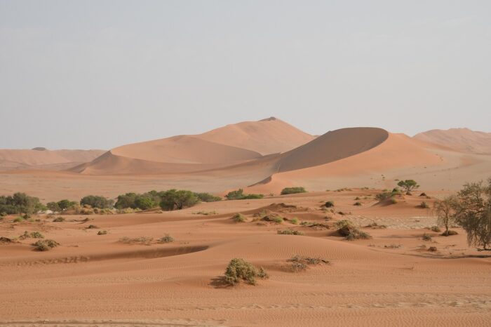duny a pouštní kajina - Namíbie duny a pouštní kajina - Namíbie