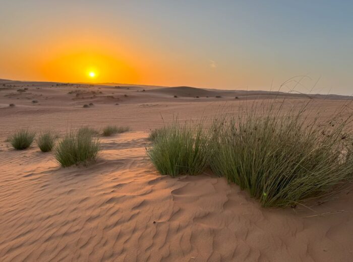 Omán - západ slunce v poušti,